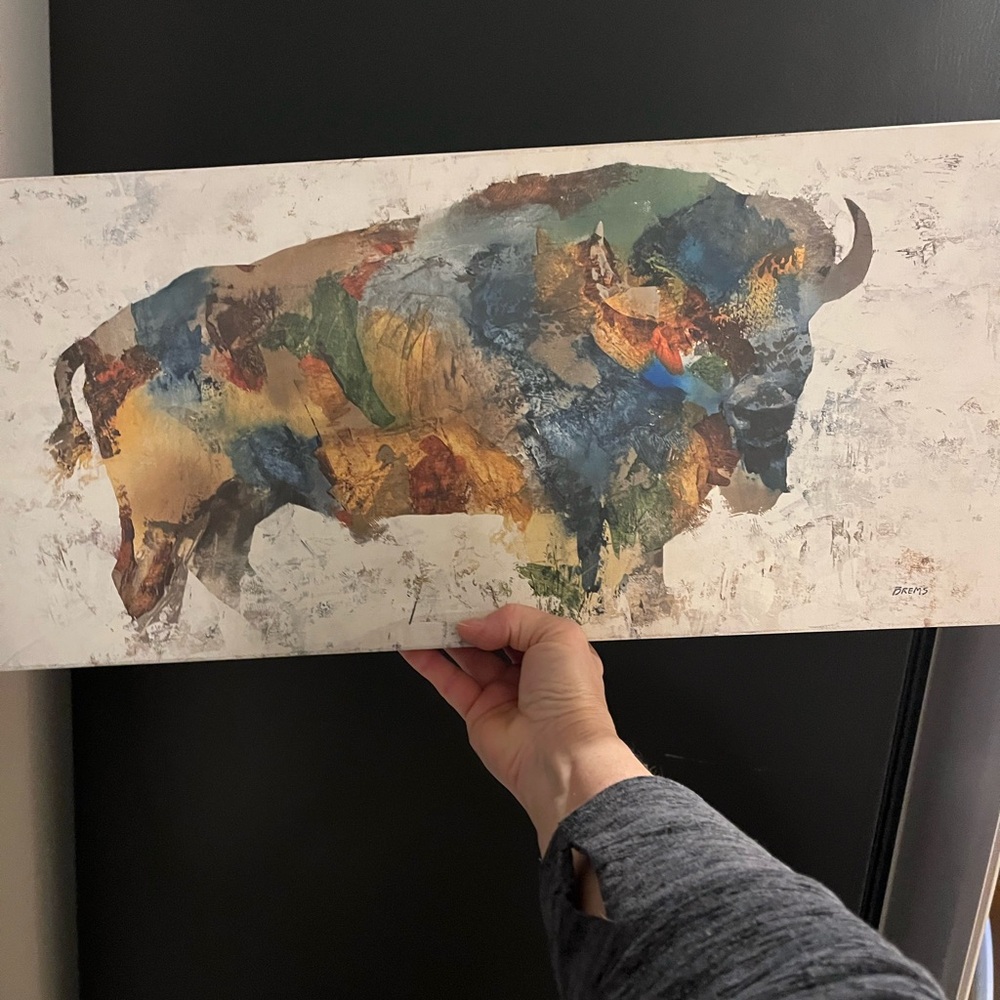 Abstract Bison Canvas Wall Art - Multicolor 10” x 24”